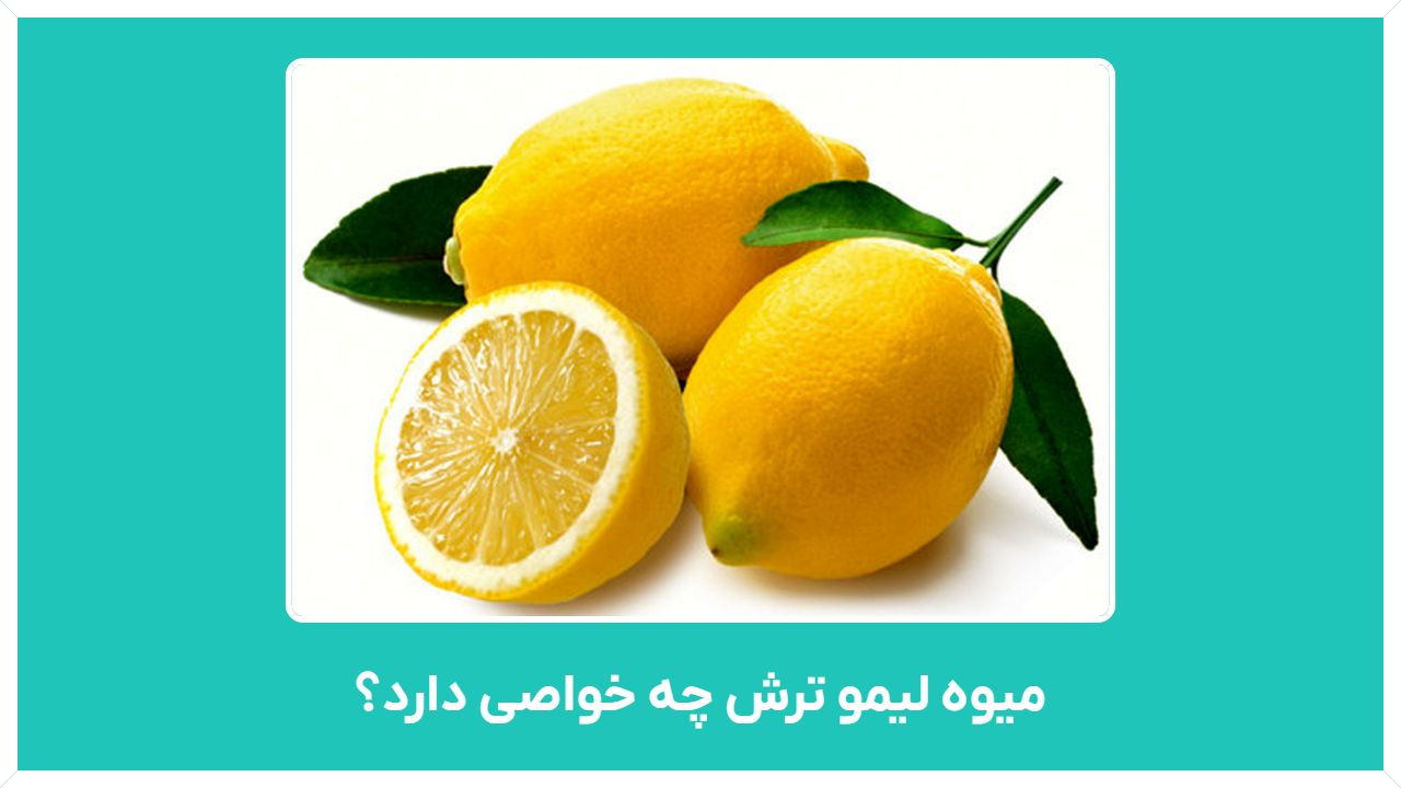 میوه لیمو ترش چه خواصی دارد - فواید لیمو ترش برای پوست و سلامتی بدن چیست - راهنمای خرید انواع لیمو ترش تازه و ارزان قیمت