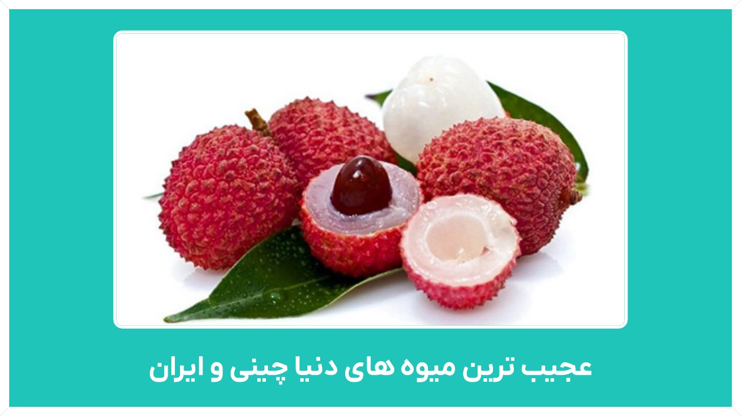 راهنمای خرید عجیب ترین میوه های دنیا چینی و ایران با قیمت مناسب