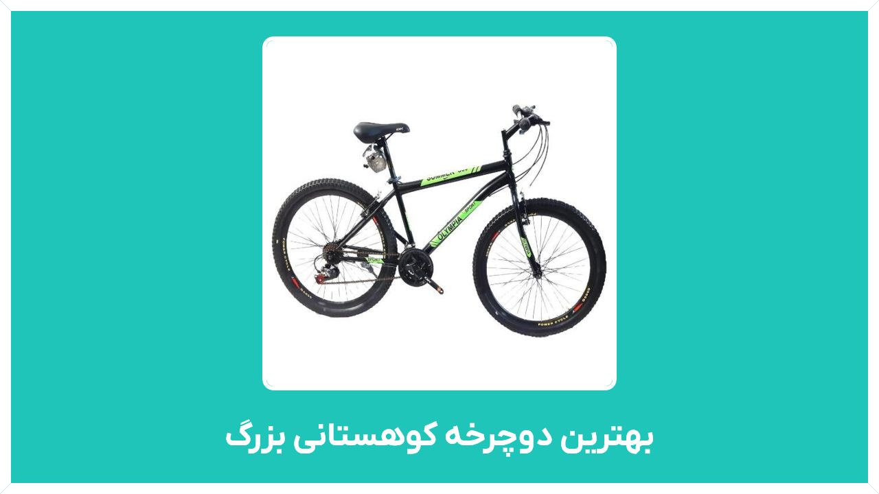 راهنمای خرید بهترین دوچرخه کوهستانی بزرگ مدل دخترانه و پسرانه ویوا با قیمت مناسب